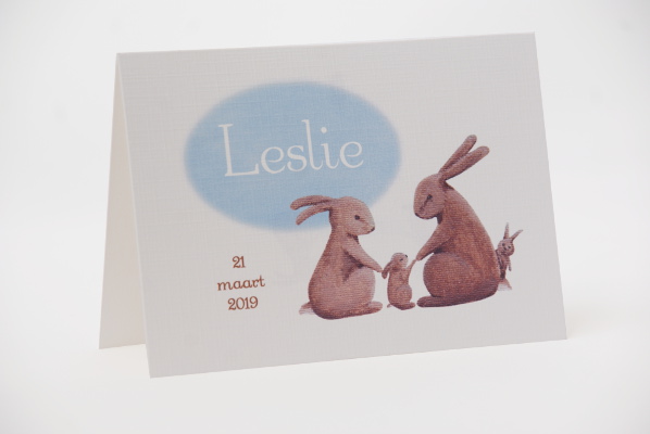 geboortekaartje leslie lichtblauw